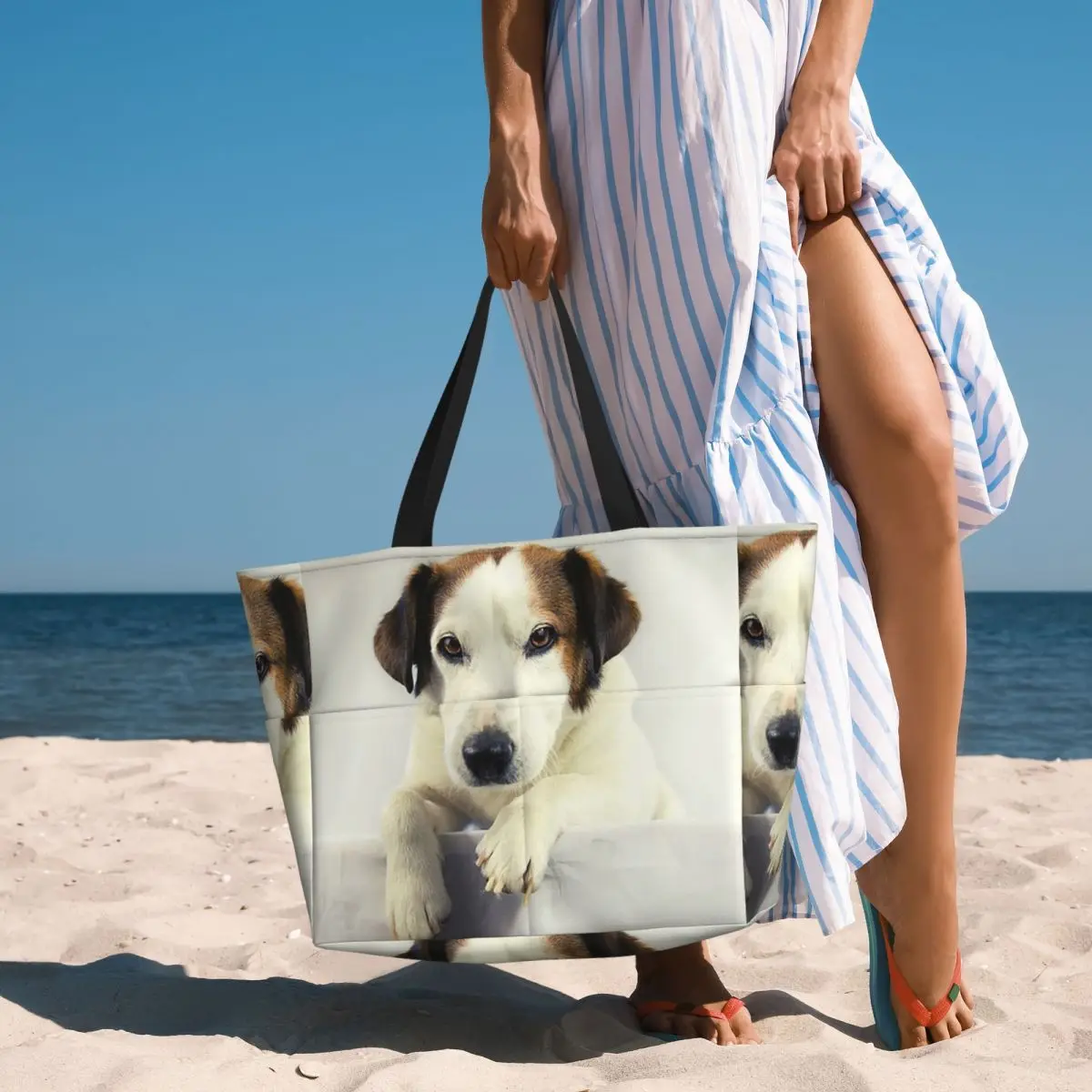 Yoga Fitness Gym Photos - Hond Jack Russell Terrier Foto Strandtas