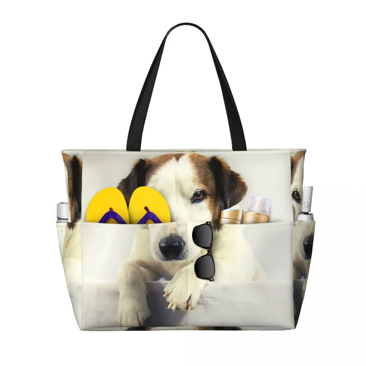 Hond Jack Russell Terrier Foto - Yoga Fitness Gym Photos recensie en prijs
