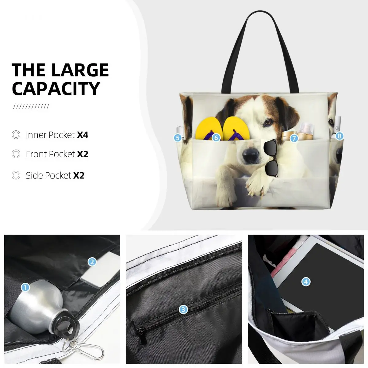 Hond Jack Russell Terrier Foto - Yoga Fitness Gym Photos recensie en prijs