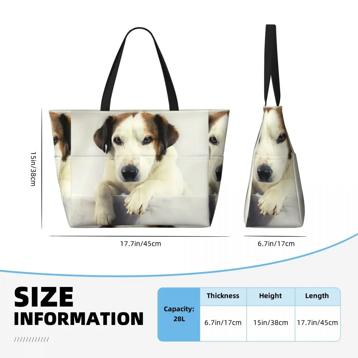 Hond Jack Russell Terrier Foto - Yoga Fitness Gym Photos recensie en prijs