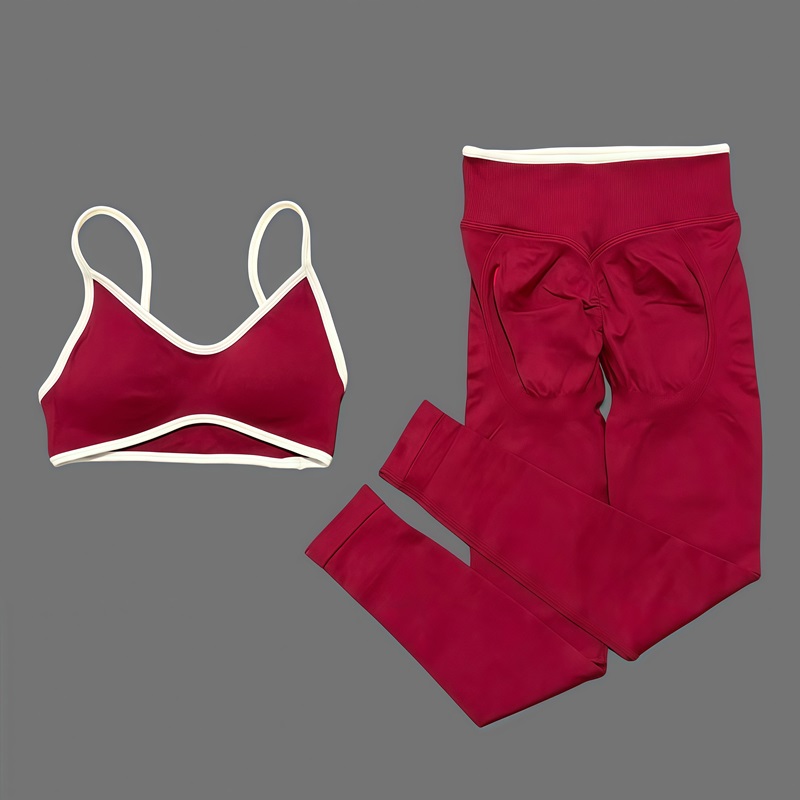 2 Stuks HISTELLO Dames Naadloz - Ignite Yoga Fitness recensie en prijs